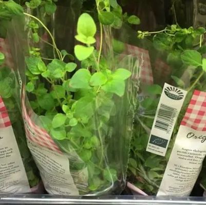Auftragsgedruckte durchsichtige BOPP-Filmhüllen für Blumen- und Pflanzenverpackungen
