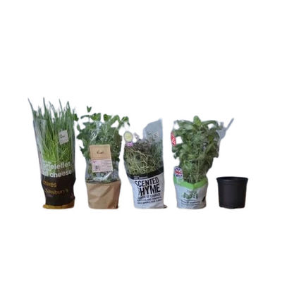Auftragsgedruckte durchsichtige BOPP-Filmhüllen für Blumen- und Pflanzenverpackungen