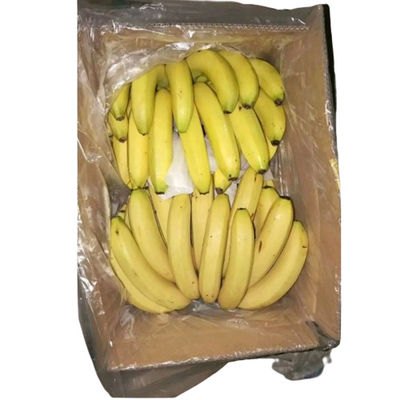 Pflanzliche Transparente Kartonsäcke Polyethylen Poly Liner Säcke mit Löchern