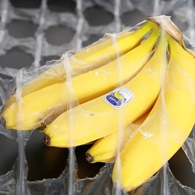 Lebensmittel- und Pflanzenverpackung LDPE-Stretchfilm 500mm X 1420m mit 250% Verlängerung und langlebigem Material